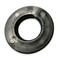 Lagerdichtring Peitz R234-76