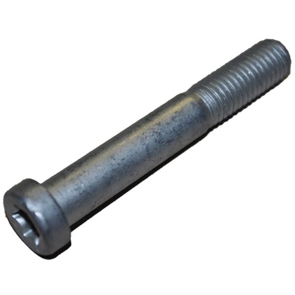 ET Zylinderschraube M12 x 75, 10.9 AL-KO