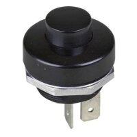 Drucktaster (19)  Ein/Aus 12-24V