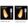 LED Arbeitsscheinw. 188x55x153, 12/24V Nordic-Lights