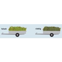 Netz 15 Maschenweite, 6000x3100mm