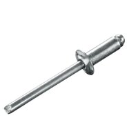 Blindniete Stahl/Stahl 3.2 x   6.0 Flachrundkopf