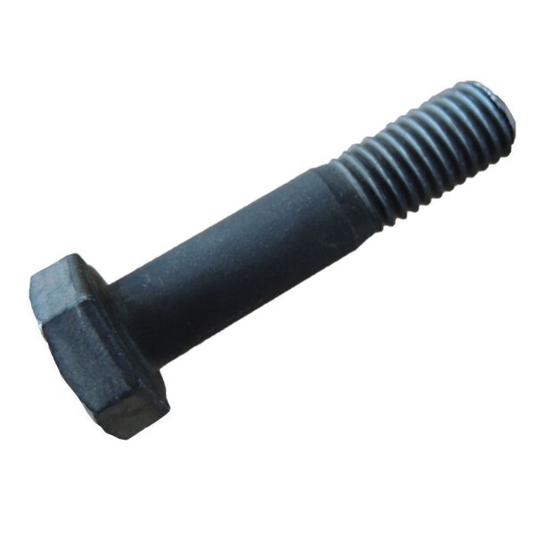 Sechskantschraube AL-KO M10 x 45