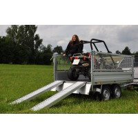 Alu-Laderampe, 1360 kg pro Paar, o. Rand