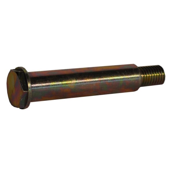 Lagerschraube M12X1,5X 94   VZ